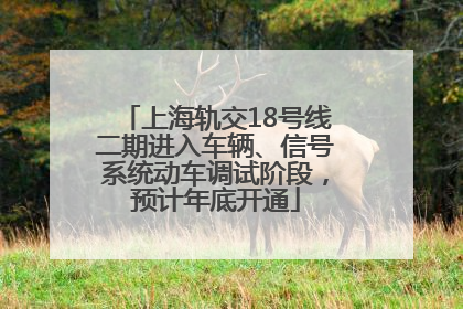 上海轨交18号线二期进入车辆、信号系统动车调试阶段，预计年底开通