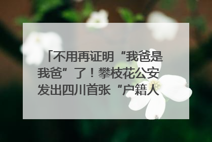 不用再证明“我爸是我爸”了！攀枝花公安发出四川首张“户籍人口直系亲属关系谱”