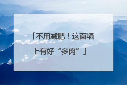 不用减肥！这面墙上有好“多肉”