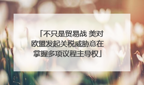 不只是贸易战 美对欧盟发起关税威胁意在掌握多项议程主导权