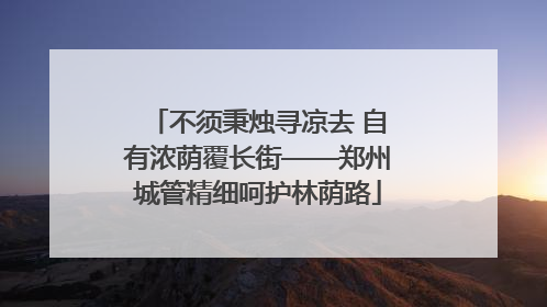 不须秉烛寻凉去 自有浓荫覆长街——郑州城管精细呵护林荫路