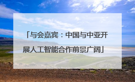 与会嘉宾：中国与中亚开展人工智能合作前景广阔
