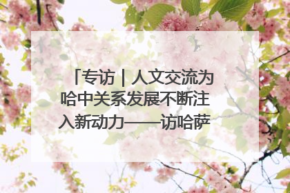 专访｜人文交流为哈中关系发展不断注入新动力——访哈萨克斯坦文化与信息部部长巴拉耶娃