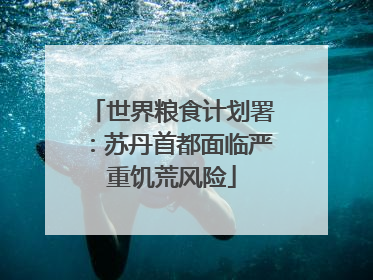 世界粮食计划署：苏丹首都面临严重饥荒风险