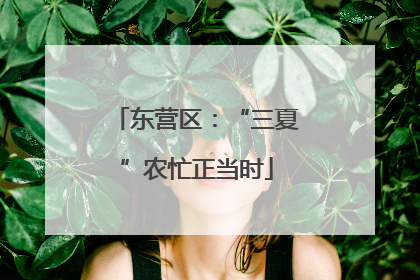 东营区：“三夏”农忙正当时