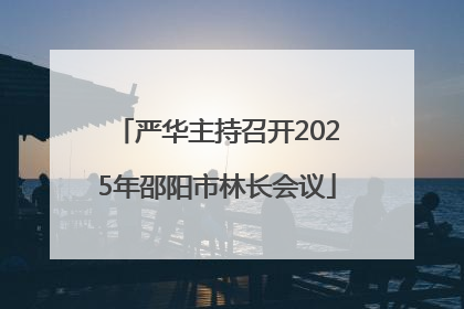 严华主持召开2025年邵阳市林长会议