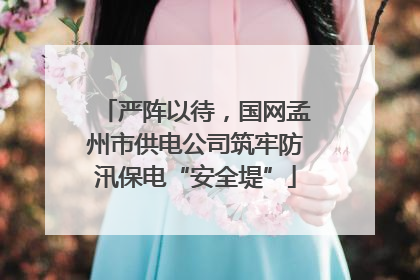 严阵以待，国网孟州市供电公司筑牢防汛保电“安全堤”