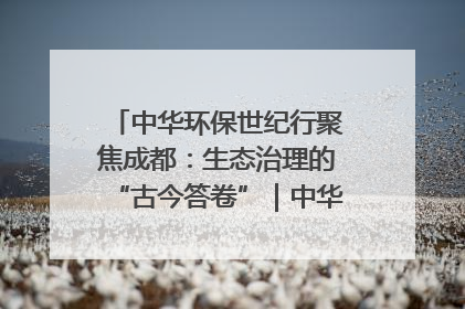 中华环保世纪行聚焦成都：生态治理的“古今答卷”｜中华环保世纪行