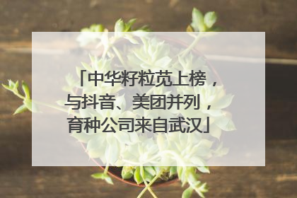 中华籽粒苋上榜，与抖音、美团并列，育种公司来自武汉
