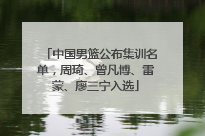中国男篮公布集训名单，周琦、曾凡博、雷蒙、廖三宁入选