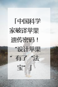 中国科学家破译苹果遗传密码！“设计苹果”有了“法宝”