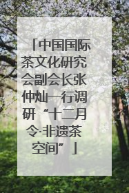 中国国际茶文化研究会副会长张仲灿一行调研“十二月令·非遗茶空间”