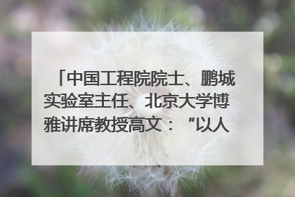 中国工程院院士、鹏城实验室主任、北京大学博雅讲席教授高文：“以人为本 智能向善” 推动文化与科技相生相促｜聚焦2025文化强国建设高峰论坛