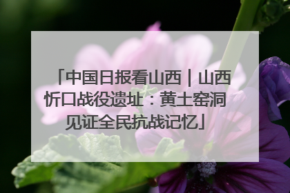 中国日报看山西｜山西忻口战役遗址：黄土窑洞见证全民抗战记忆