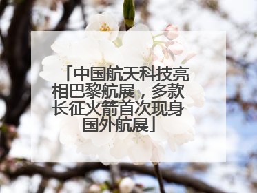 中国航天科技亮相巴黎航展，多款长征火箭首次现身国外航展