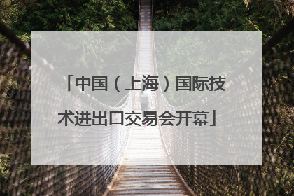 中国（上海）国际技术进出口交易会开幕