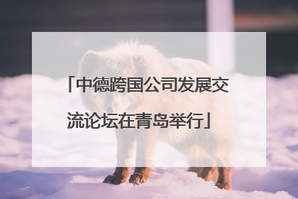 中德跨国公司发展交流论坛在青岛举行