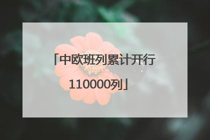 中欧班列累计开行110000列