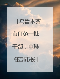 乌鲁木齐市任免一批干部：申琳任副市长