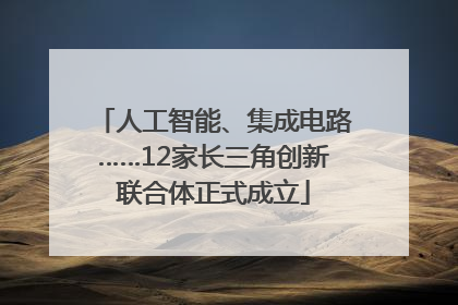 人工智能、集成电路……12家长三角创新联合体正式成立