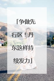 争做先行区！丹东这样持续发力