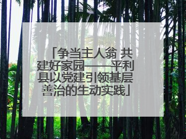 争当主人翁 共建好家园——平利县以党建引领基层善治的生动实践