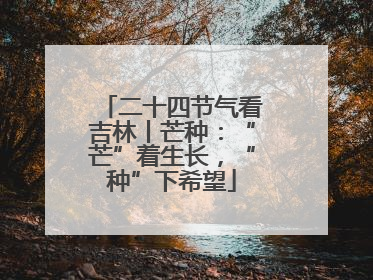 二十四节气看吉林丨芒种：“芒”着生长，“种”下希望