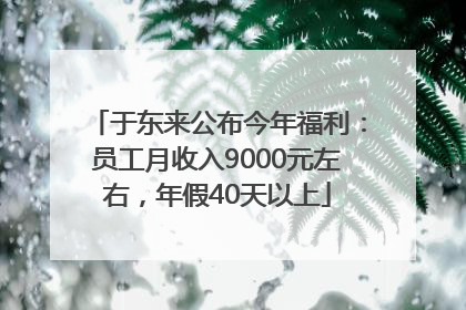 于东来公布今年福利：员工月收入9000元左右，年假40天以上