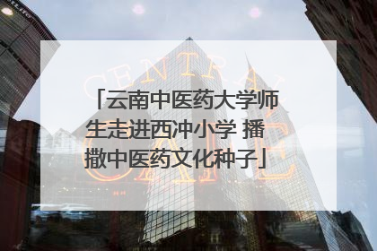 云南中医药大学师生走进西冲小学 播撒中医药文化种子