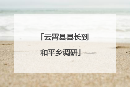 云霄县县长到和平乡调研