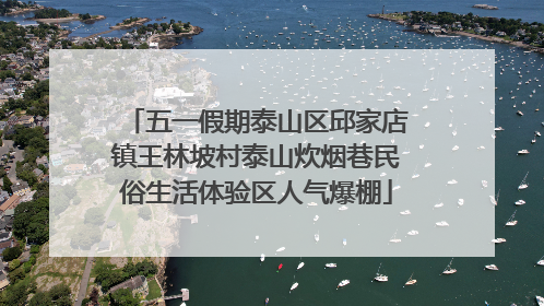 五一假期泰山区邱家店镇王林坡村泰山炊烟巷民俗生活体验区人气爆棚