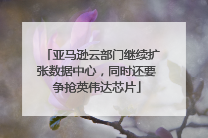 亚马逊云部门继续扩张数据中心，同时还要争抢英伟达芯片