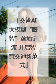 交管AI大模型“鹰智”落地宁波 开启智慧交通新范式