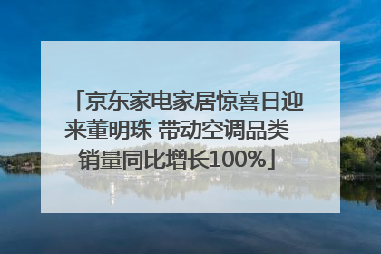 京东家电家居惊喜日迎来董明珠 带动空调品类销量同比增长100%