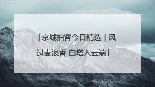 京城拍客今日精选｜风过麦浪香 白塔入云端