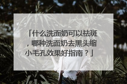 什么洗面奶可以祛斑，哪种洗面奶去黑头缩小毛孔效果好指南？
