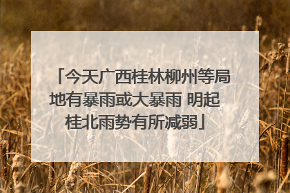 今天广西桂林柳州等局地有暴雨或大暴雨 明起桂北雨势有所减弱