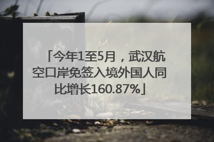 今年1至5月，武汉航空口岸免签入境外国人同比增长160.87%
