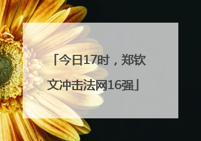 今日17时，郑钦文冲击法网16强
