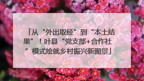从“外出取经”到“本土结果”！叶县“党支部+合作社”模式绘就乡村振兴新图景