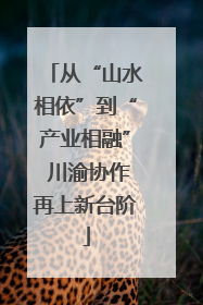 从“山水相依”到“产业相融” 川渝协作再上新台阶