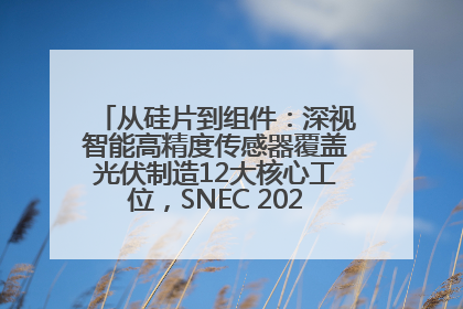 从硅片到组件：深视智能高精度传感器覆盖光伏制造12大核心工位，SNEC 2025诚邀见证