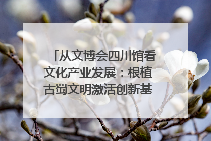 从文博会四川馆看文化产业发展：根植古蜀文明激活创新基因｜文博向“新”