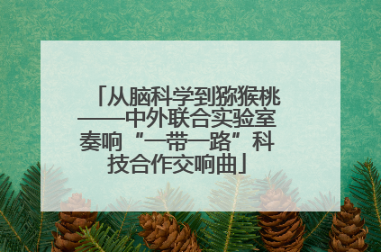 从脑科学到猕猴桃——中外联合实验室奏响“一带一路”科技合作交响曲