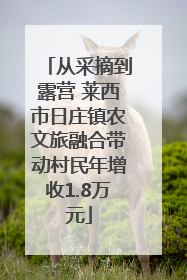 从采摘到露营 莱西市日庄镇农文旅融合带动村民年增收1.8万元