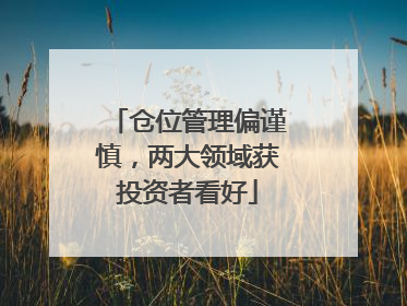 仓位管理偏谨慎，两大领域获投资者看好