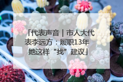 代表声音｜市人大代表李远方：履职13年 她这样“找”建议