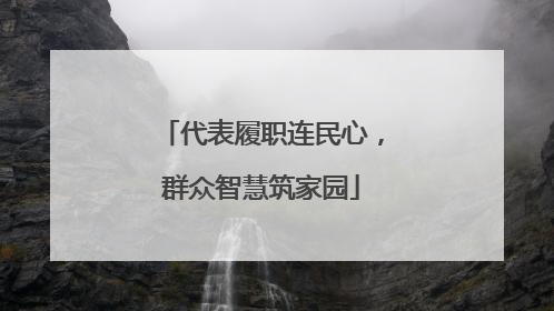 代表履职连民心，群众智慧筑家园