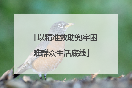 以精准救助兜牢困难群众生活底线