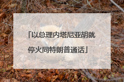 以总理内塔尼亚胡就停火同特朗普通话